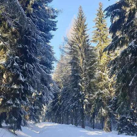 Am Kammweg דירה Jöhstadt